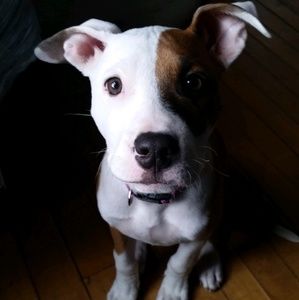 Meet your Posher, Carlene